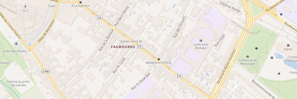Plan du 50 Rue Faubourg Lacapelle à Montauban