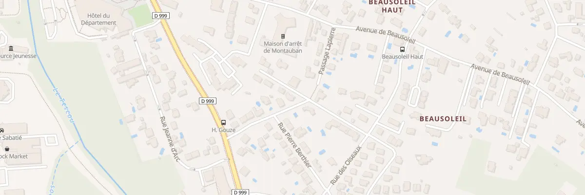 Plan du 6 Rue Frédéric Cayrou à Montauban