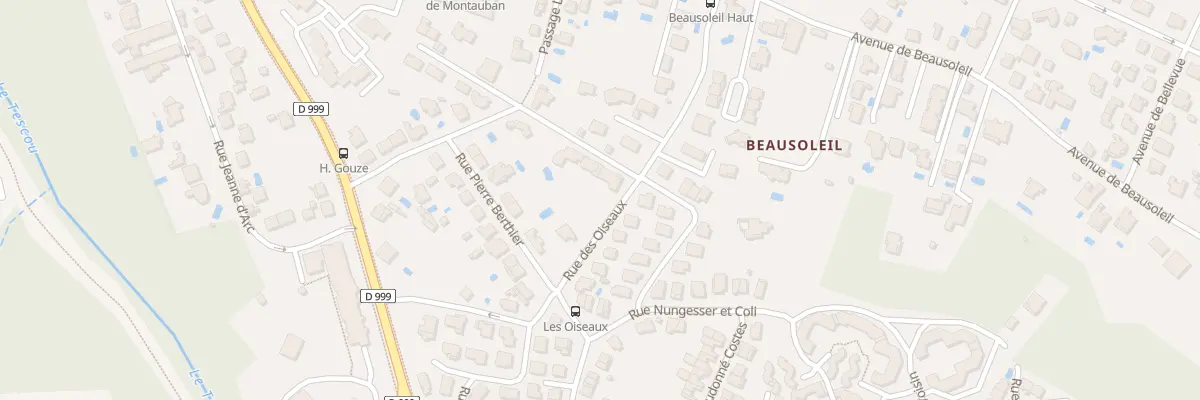 Plan du 16 Rue Frédéric Cayrou à Montauban