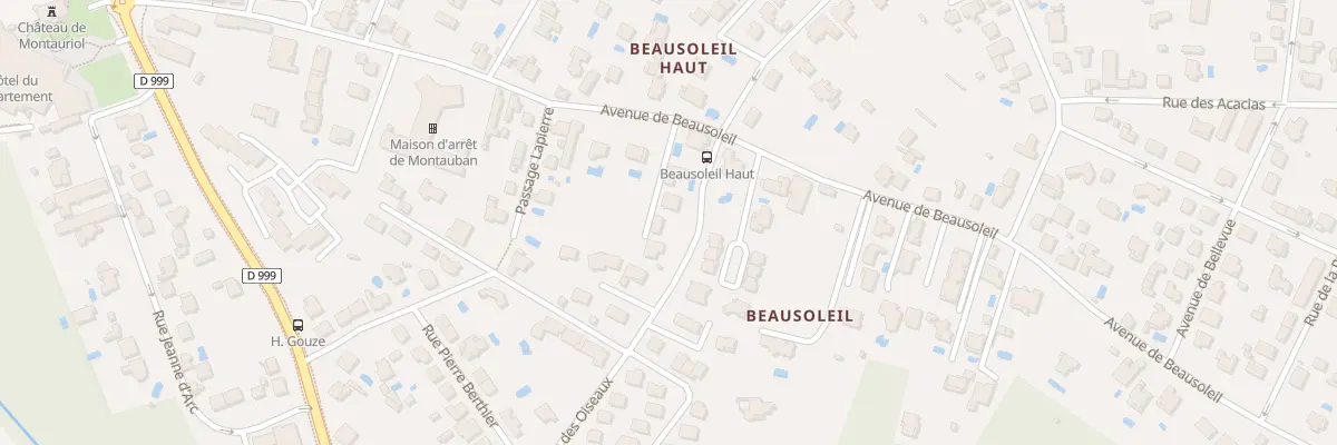 Plan du 80 Rue des Oiseaux à Montauban