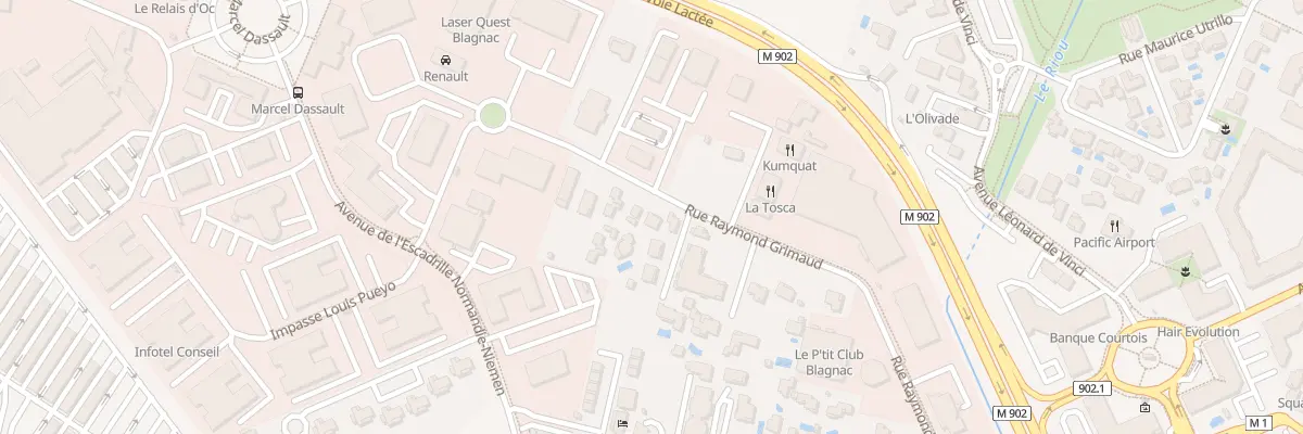 Plan du 29 Rue Raymond Grimaud à Blagnac