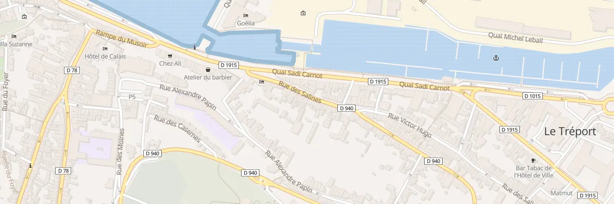 Plan du 36 Rue du Docteur Pépin au Tréport