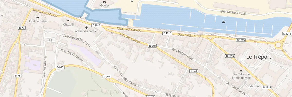 Plan du 50 Rue du Docteur Pépin au Tréport