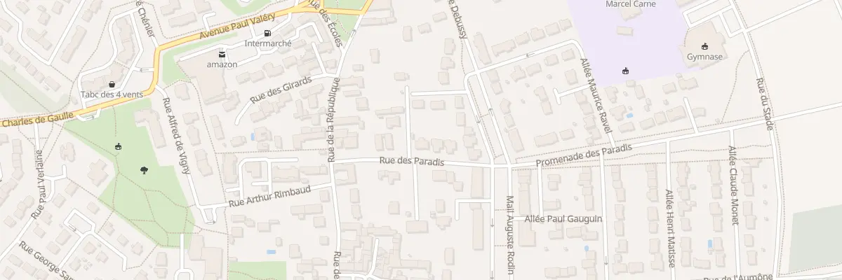 Plan du 15 Rue des Paradis à Vineuil