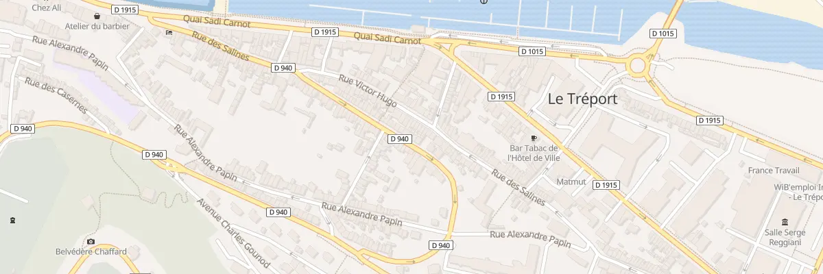 Plan du 79 Rue du Docteur Pépin au Tréport