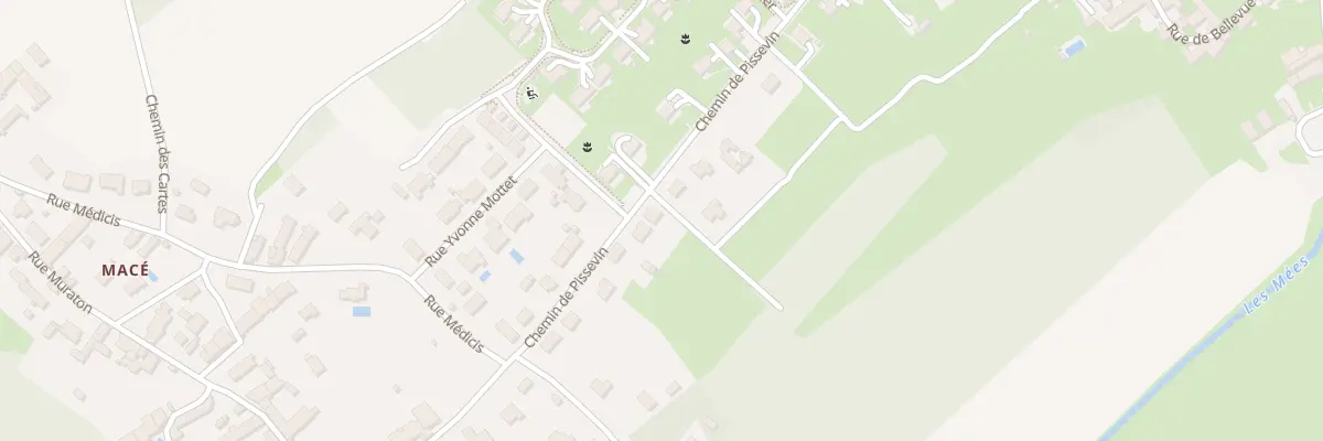 Plan des Greves de Mace à Saint-Denis-sur-Loire