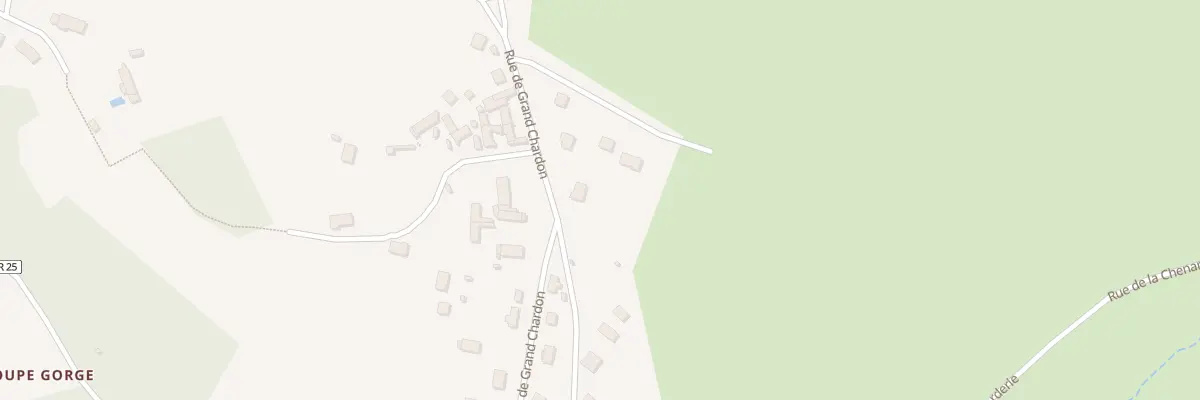 Plan du 41 Rue de la Grand Chardon à Seigy