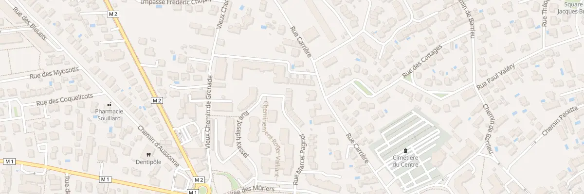 Plan du 40 Rue Marcel Pagnol à Blagnac