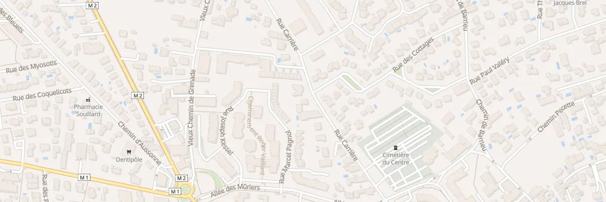 Plan du 31 Rue Carrière à Blagnac