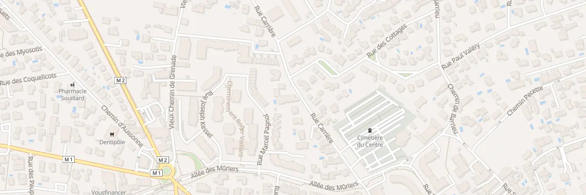Plan du 29 Rue Carrière à Blagnac