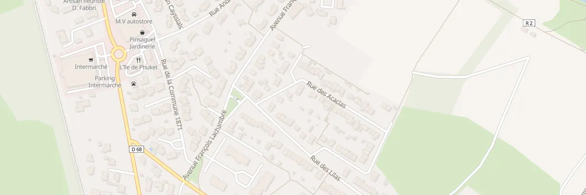 Plan du 29 Rue des Acacias à Pinsaguel