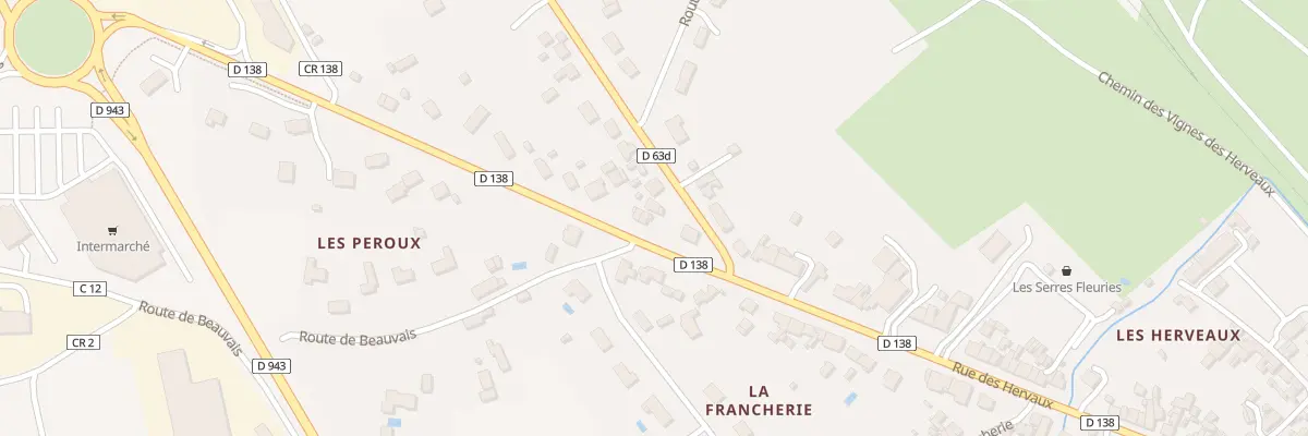 Plan du 161 Rue des Hervaux à Buzançais