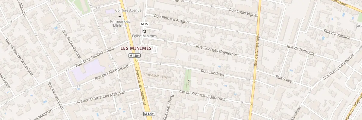 Plan du 19 Rue Condeau à Toulouse