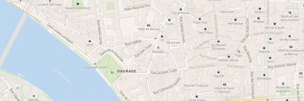 Plan du 45 Rue Peyrolières à Toulouse