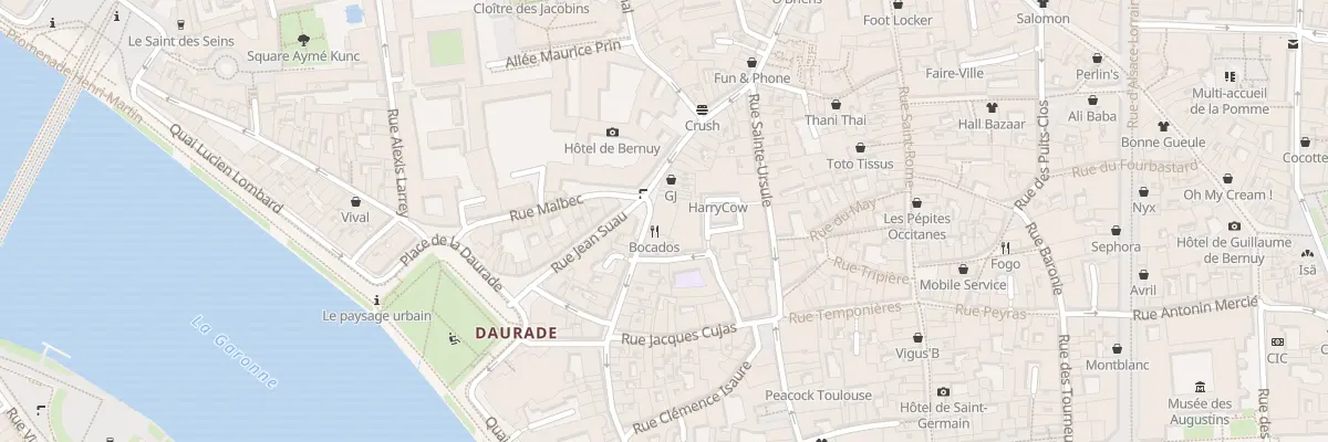 Plan du 54 Rue Peyrolières à Toulouse