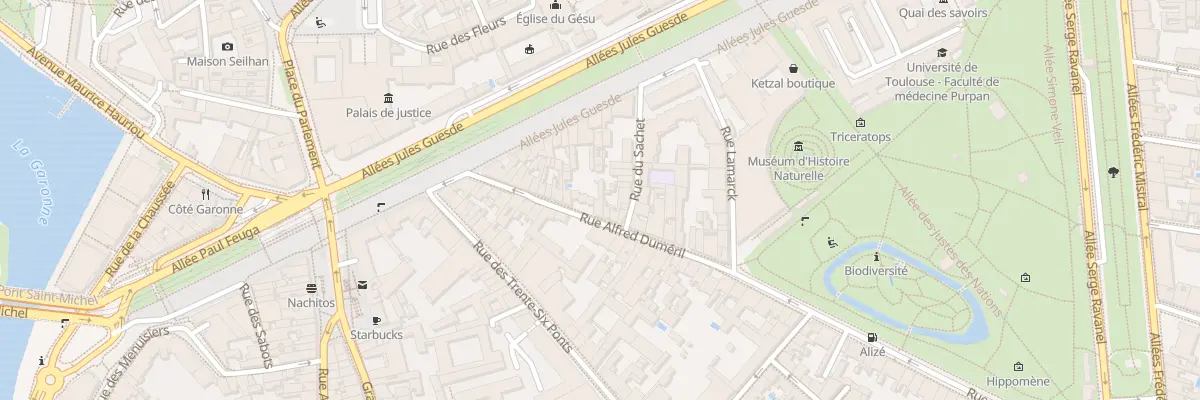 Plan du 31 Rue Alfred Duméril à Toulouse
