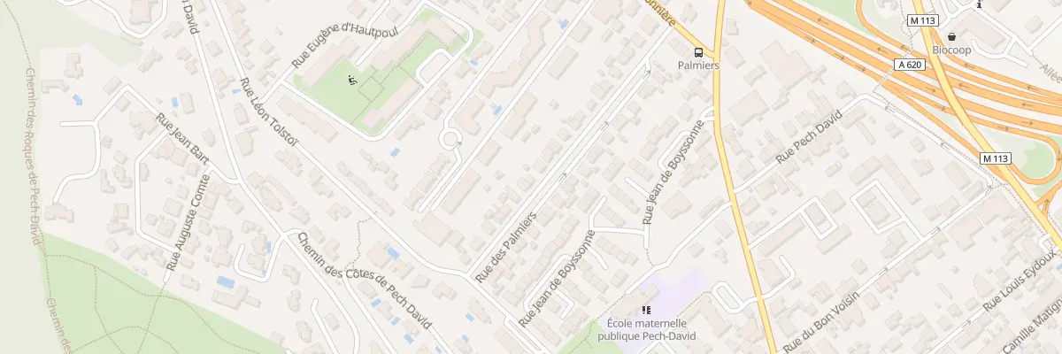 Plan du 30 Rue des Palmiers à Toulouse