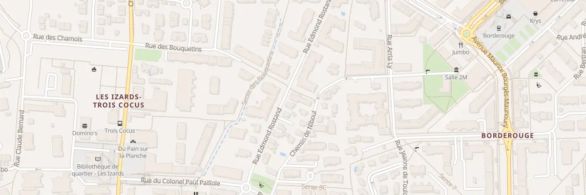 Plan du 155 Rue Edmond Rostand à Toulouse