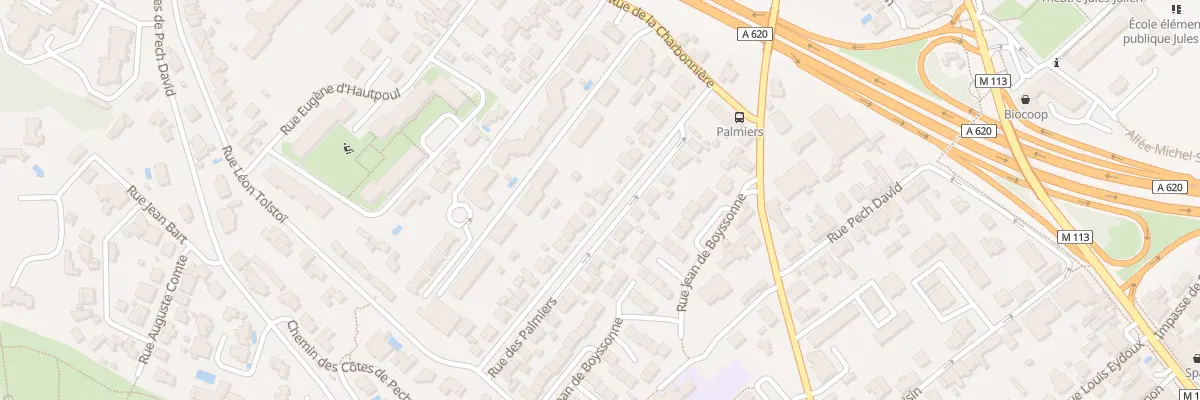 Plan du 20 Rue des Palmiers à Toulouse