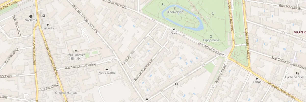 Plan du 21 Rue de Puymaurin à Toulouse
