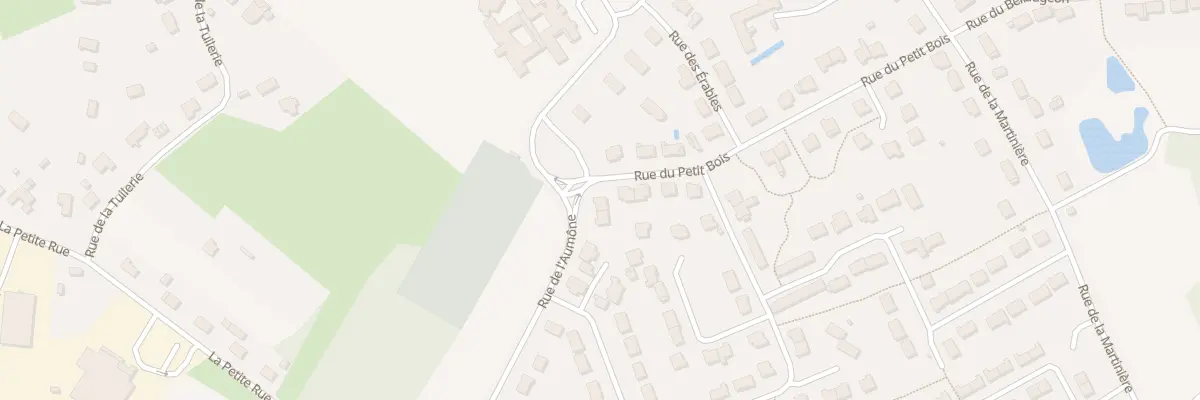 Plan du 19 Rue du Petit Bois à Mont-près-Chambord