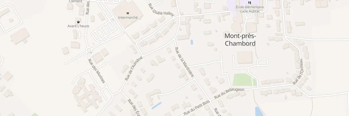 Plan du 38 Rue de la Martinière à Mont-près-Chambord