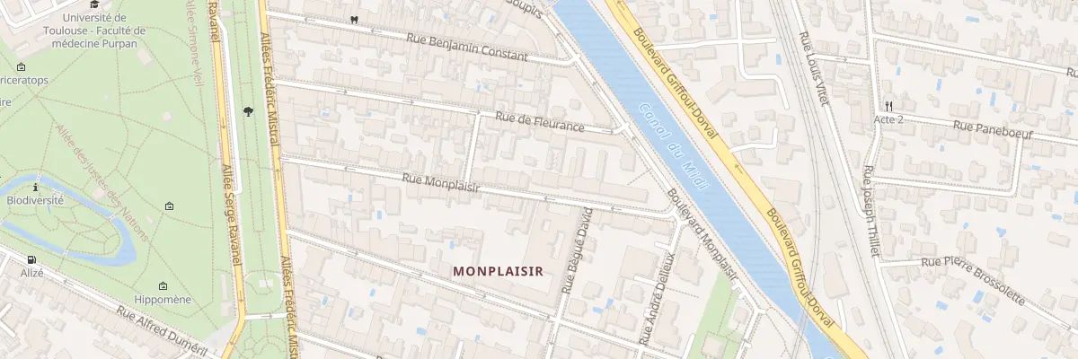 Plan du 46 Rue Monplaisir à Toulouse