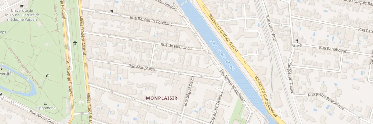 Plan du 50 Rue Monplaisir à Toulouse