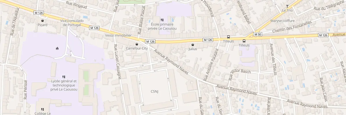 Plan du 9 Av Raymond Naves à Toulouse
