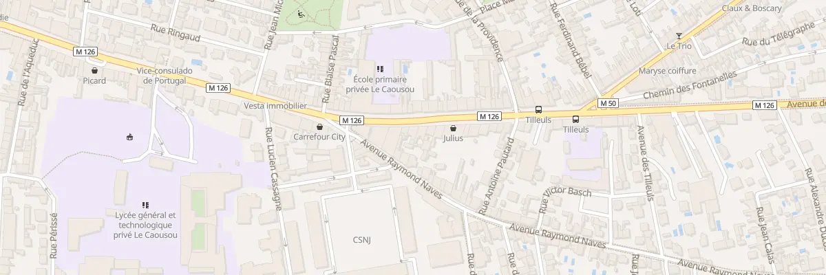 Plan du 80 Av Camille Pujol à Toulouse