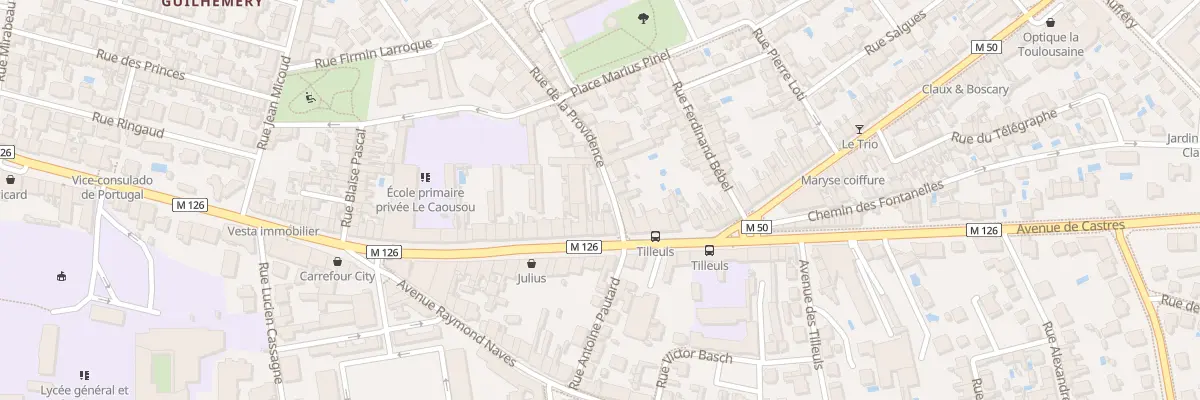 Plan du 148 Rue de la Providence à Toulouse