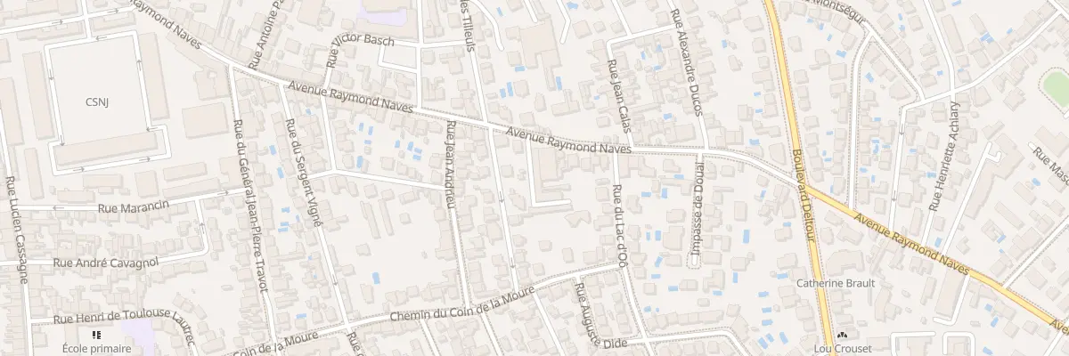 Plan du 50 Av Raymond Naves à Toulouse