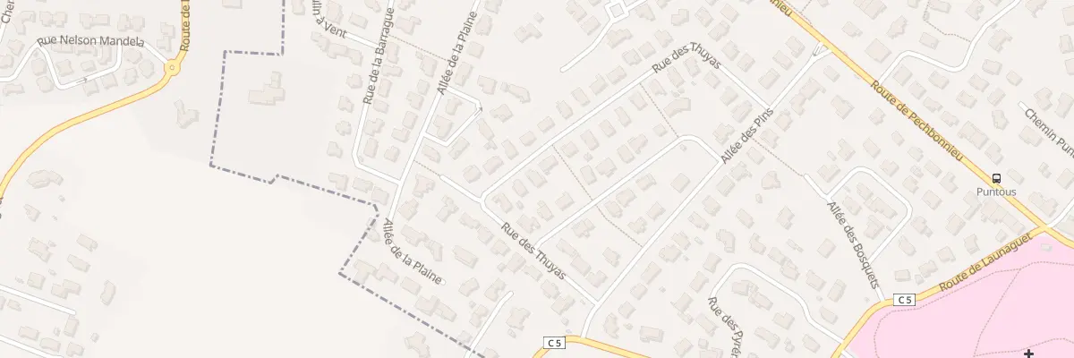 Plan du 23 Rue des Thuyas à Saint-Loup-Cammas