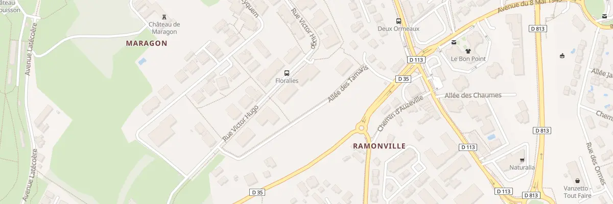 Plan du 19 Rue Victor Hugo à Ramonville-Saint-Agne