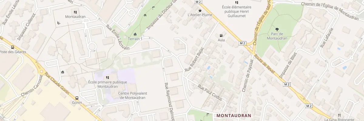 Plan du 45 Rue Emile Lecrivain à Toulouse
