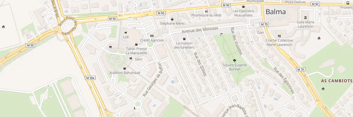 Plan du 21 Rue des Lilas à Balma