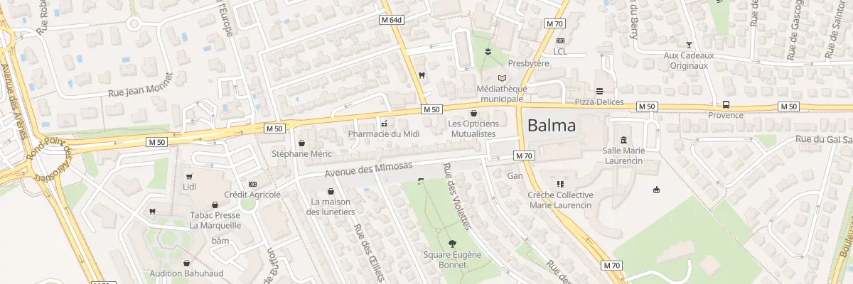 Plan du 31 Av des Mimosas à Balma