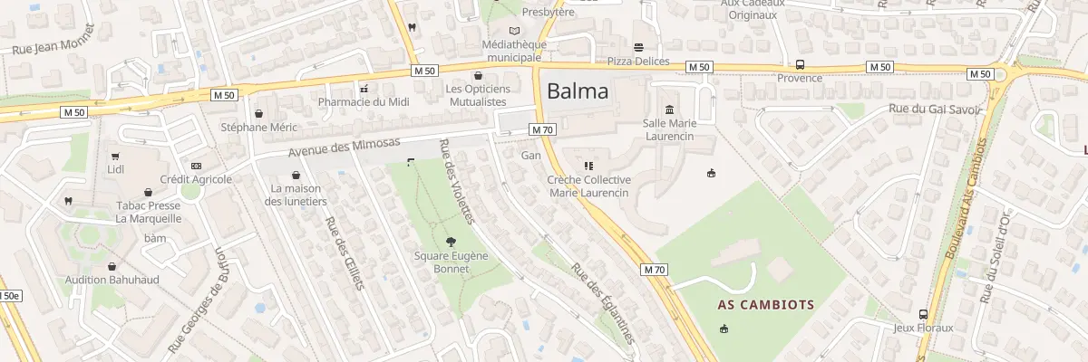 Plan du 47 Av de Lasbordes à Balma