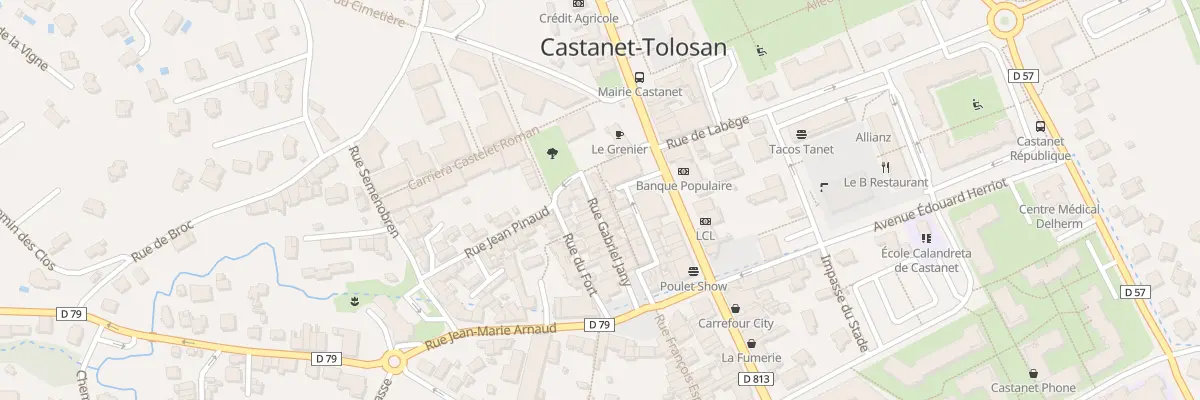 Plan du 24 Rue Gabriel Jany à Castanet-Tolosan
