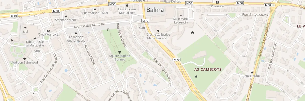 Plan du 30 Rue des Églantines à Balma