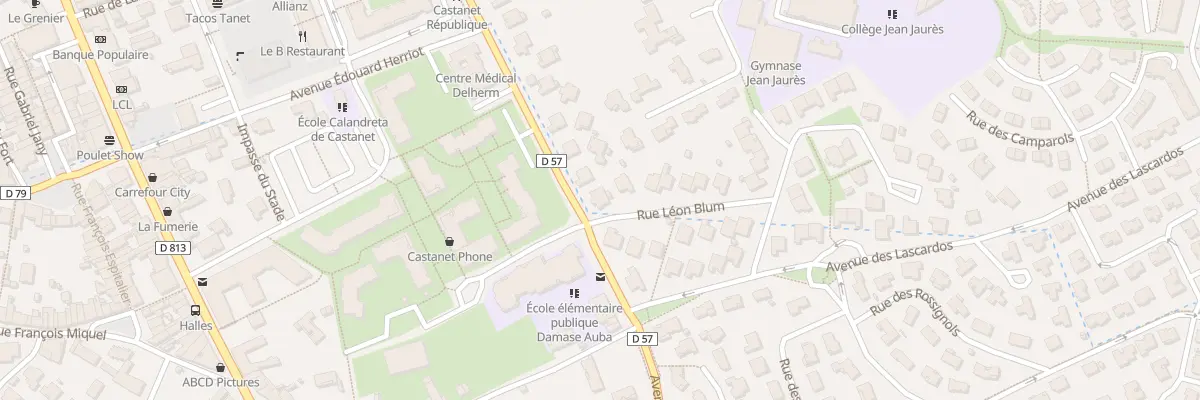 Plan du 2 Rue Léon Blum à Castanet-Tolosan