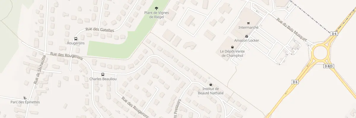 Plan du 31 Rue des Rougerons à Champhol