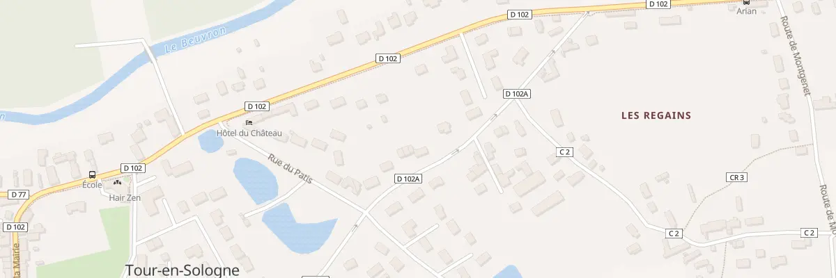 Plan du 643 Rue de la Petite Motte à Tour-en-Sologne