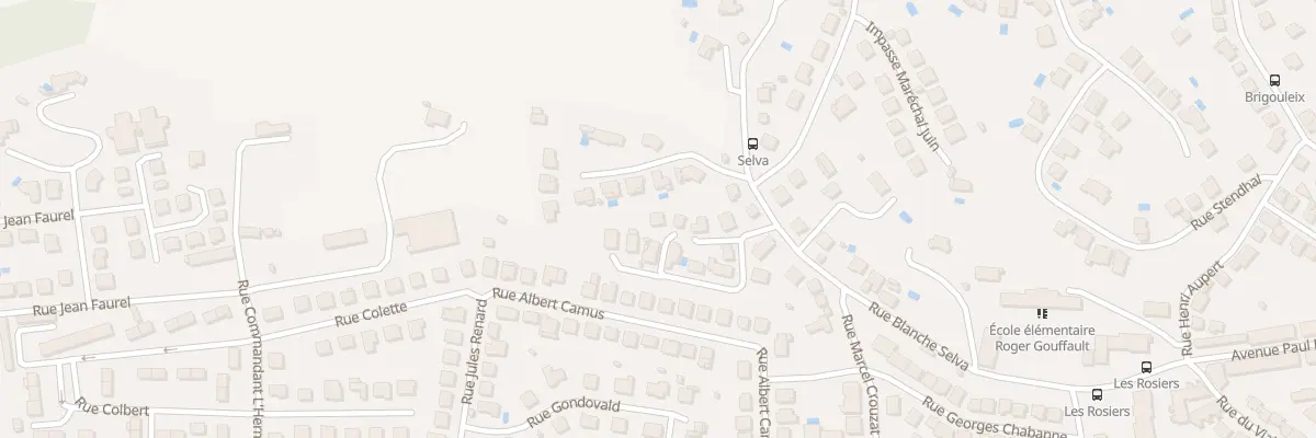 Plan du 19 Rue Jean Chassaing à Brive-la-Gaillarde