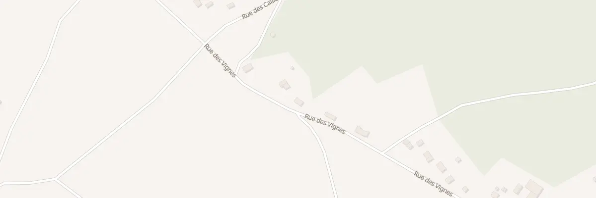 Plan du 1005 Rue des Vignes à Meusnes
