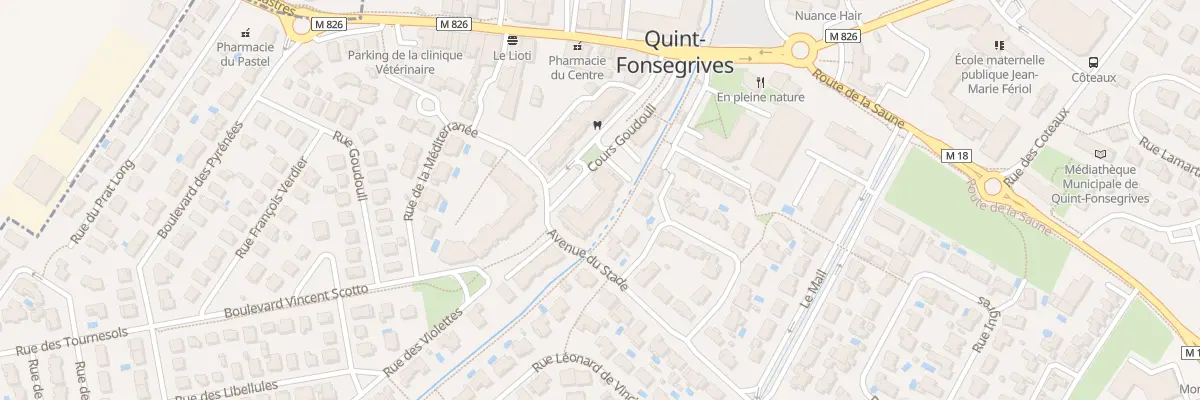 Plan du 5T Crs Goudouli à Quint-Fonsegrives
