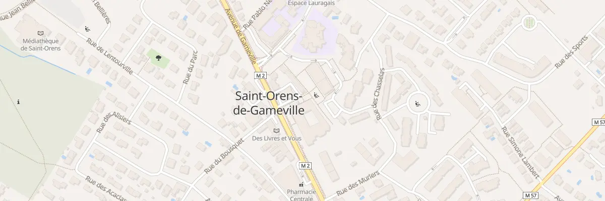 Plan du 37 Av de Gameville à Saint-Orens-de-Gameville