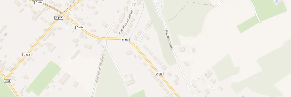 Plan du 42 Rte d’Argenton au Pêchereau