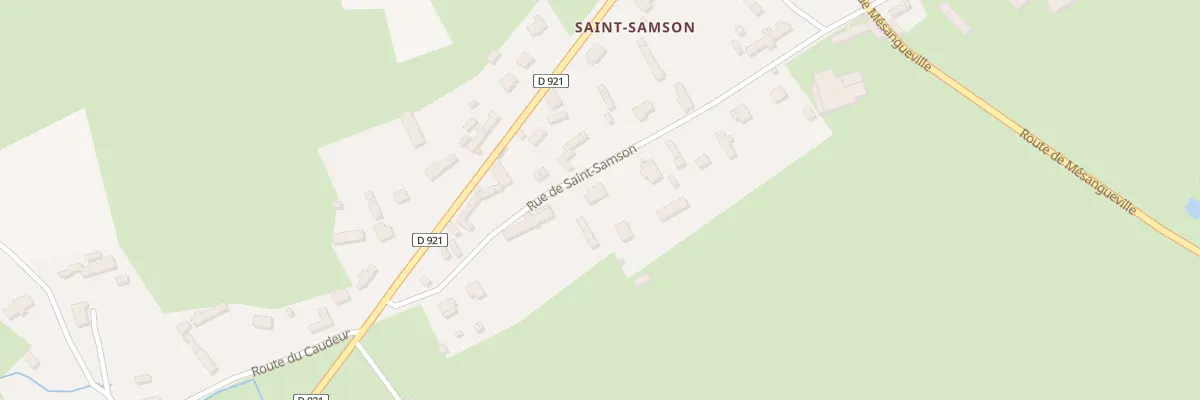 Plan du 10 Rue de Saint Samson à La Ferté-Saint-Samson