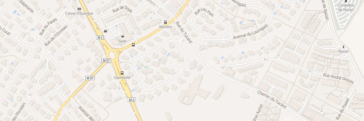 Plan du 29 Rue de Firmis à Saint-Orens-de-Gameville